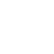 SMS